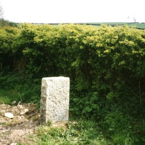 burton