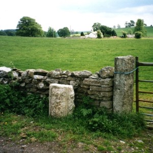 burton