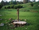 dalton well pump