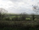 looking from burton towards holme