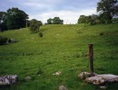 dalton lost village