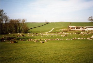 dalton stone circle