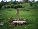 dalton well pump