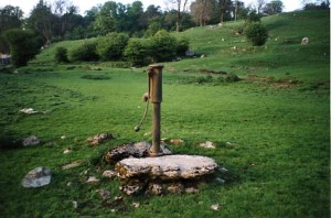 dalton well pump