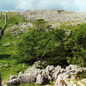 farleton fell