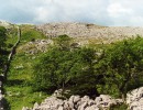 farleton fell37