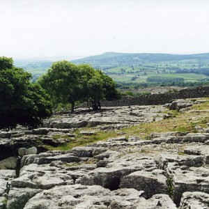 limestone pavement