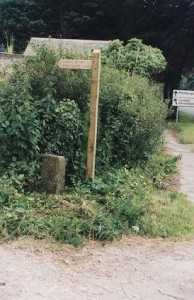 levens