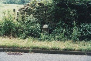 levens