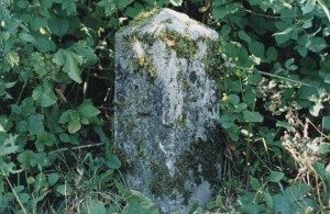 levens