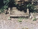 levens
