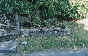 levens