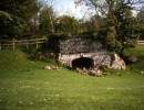 curwen woods