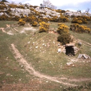 holme park fell