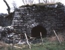 oakwood farm
