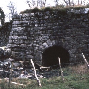 oakwood farm