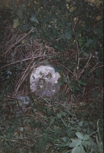 milnthorpe